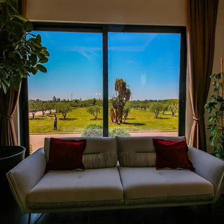 Hotel Olive 4*
